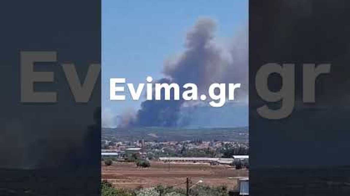 Φωτιά στα δάσος στην Εύβοια