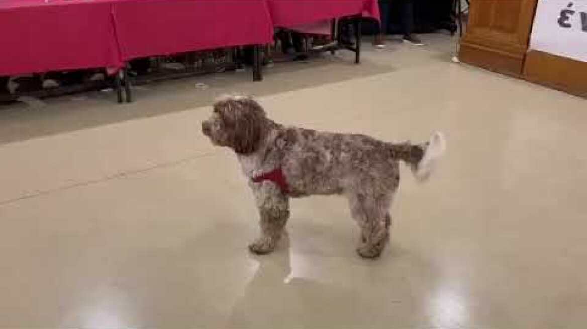 Πάτρα: Ο Στέφανος Κασσελάκης στην εκδήλωση της Ν.Ε. Αχαΐας του ΣΥΡΙΖΑ -ΠΣ