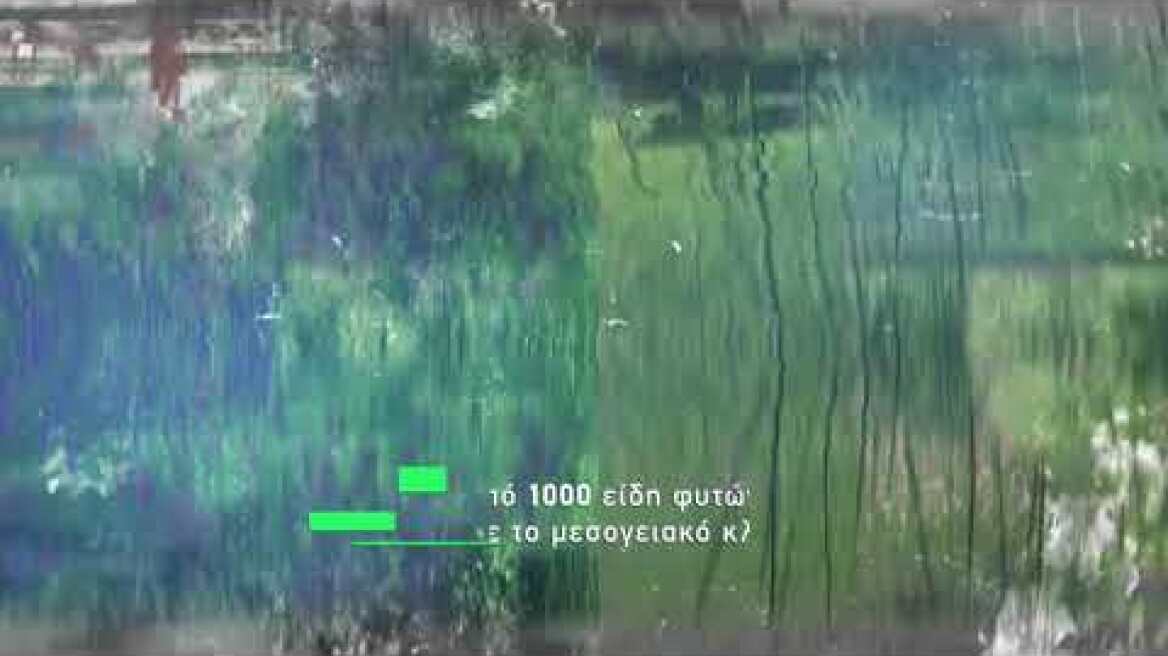 Γεωπονικές Επιχειρήσεις "Χορομίδης"