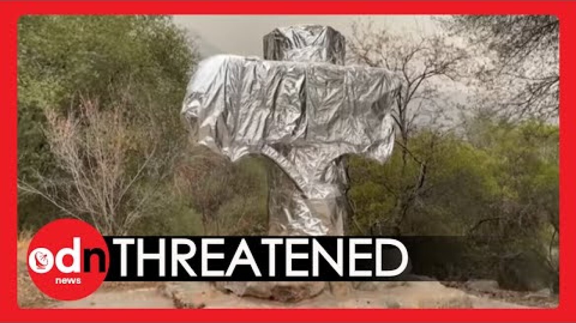 World's Largest Tree Gets Fire-Resistant Blanket