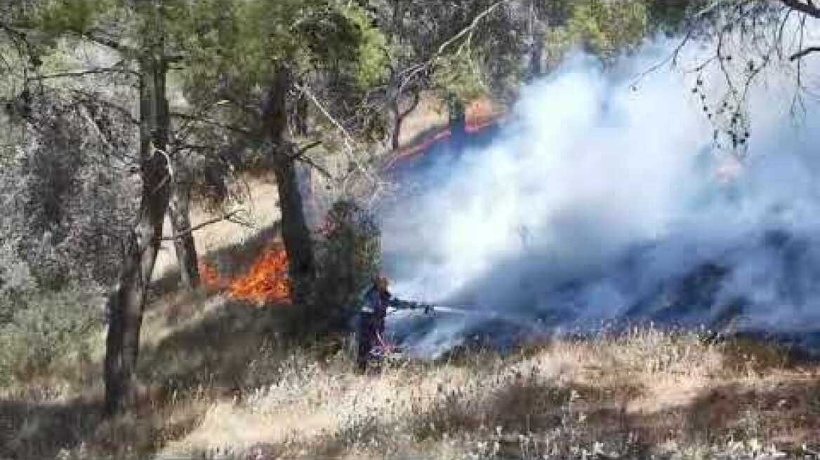Εκτός ελέγχου η φωτιά στην Κερατέα (2)