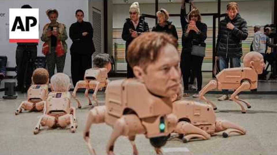 Elon Musk and Mark Zuckerberg robot dogs roam around museum in Germany