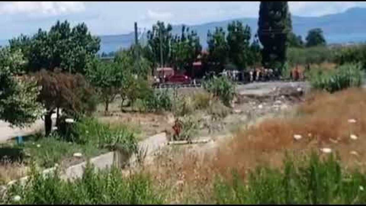 Παράσυρση Ρομά