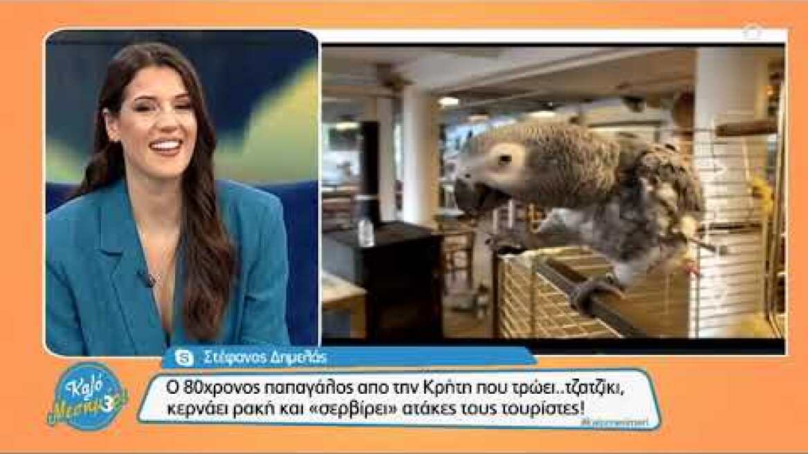Απίστευτος o 80χρονος παπαγάλος απο την Κρήτη!