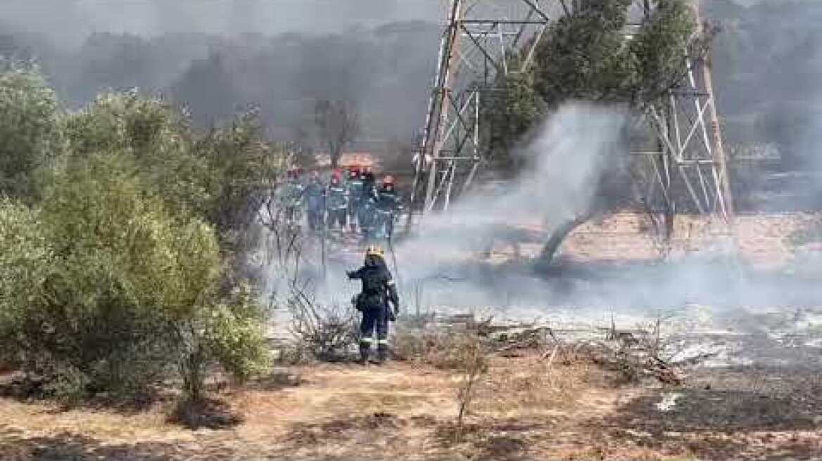 Μάχη με τις φλόγες στο Κορωπί