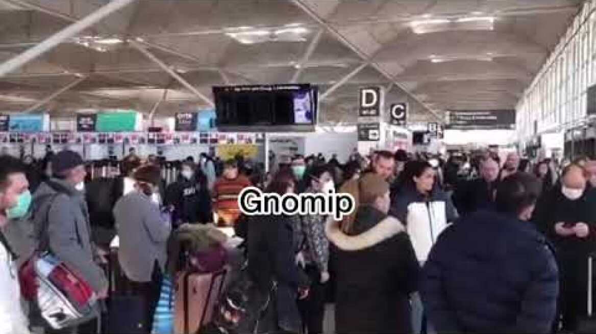 Gnomip Έλληνες Αεροδρόμιο Stansted