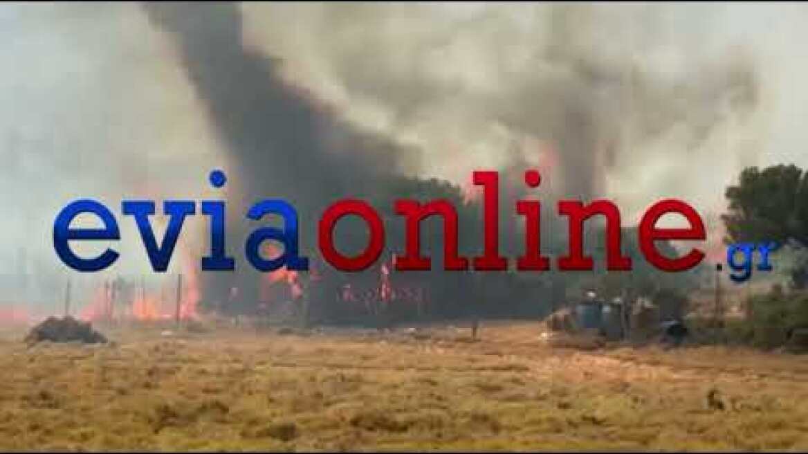 Σκύρος: Φωτιά