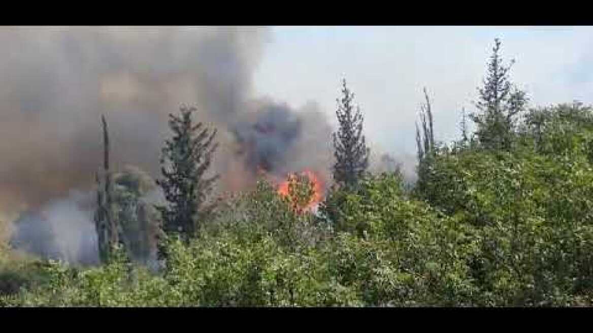 השריפה בהרי ירושלים - אזור הר איתן (צילום: כבאות והצלה ירושלים)