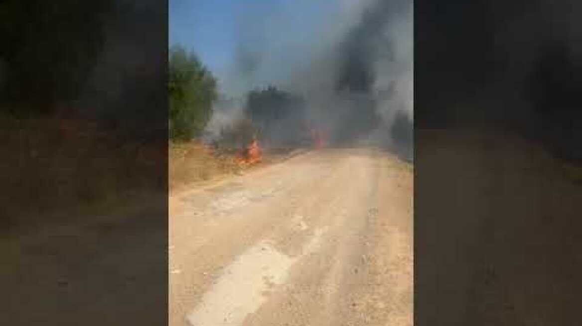 Πικέρμι: Φωτιά στο Ημερο Πεύκο