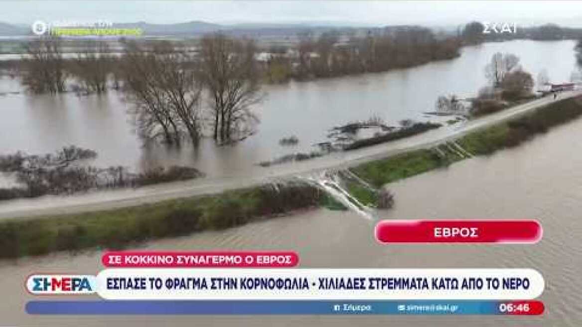Έβρος: Έσπασε το φράγμα στην Κορνοφωλιά, χιλιάδες στέμματα κάτω από το νερό | Σήμερα | 23/02/2026