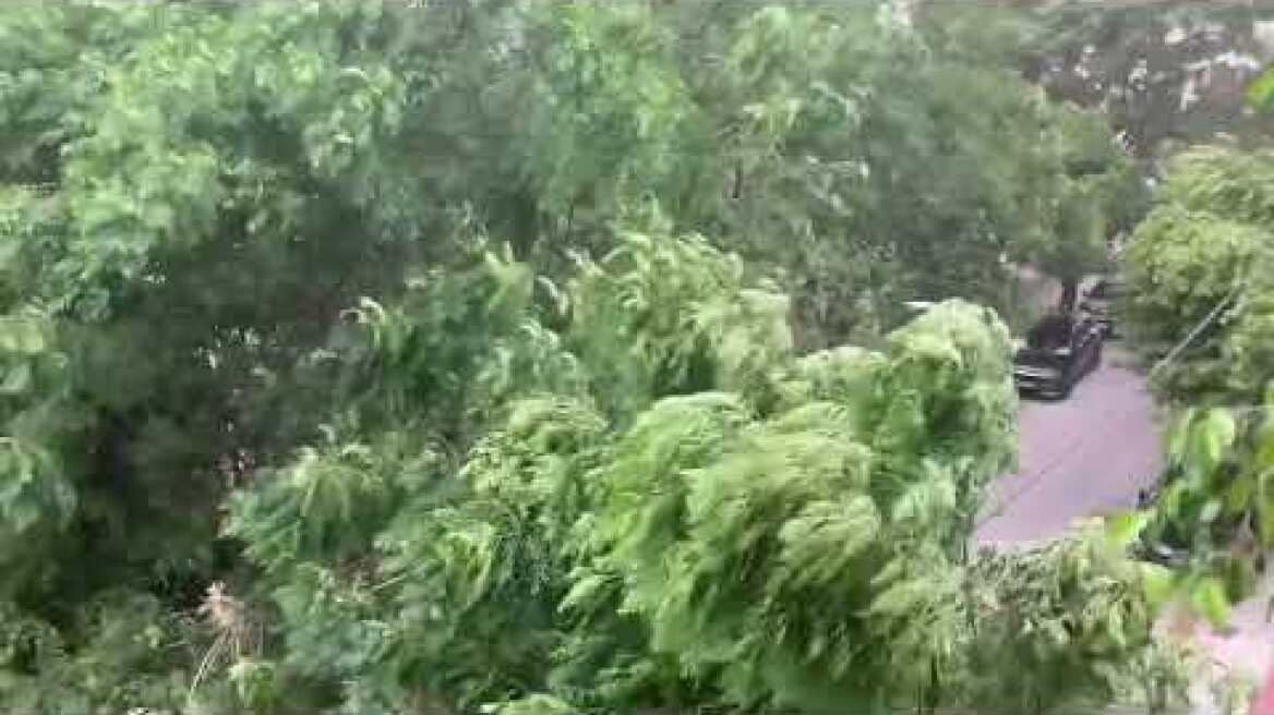 πτώση δέντρων στη Λάρισα