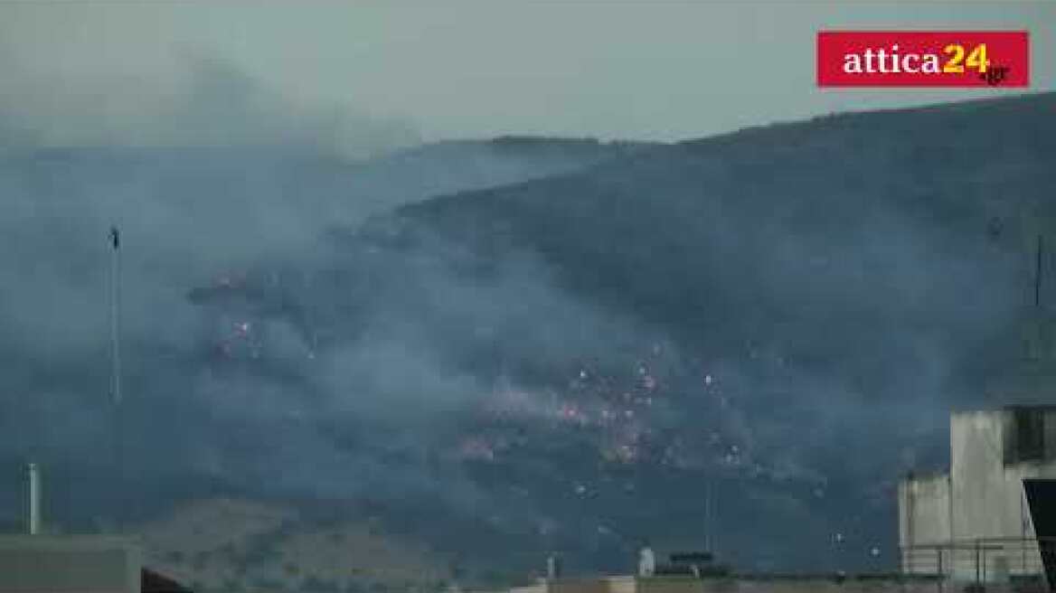 Πυρκαγιά σε εξέλιξη στο Σοφό Ασπροπύργου