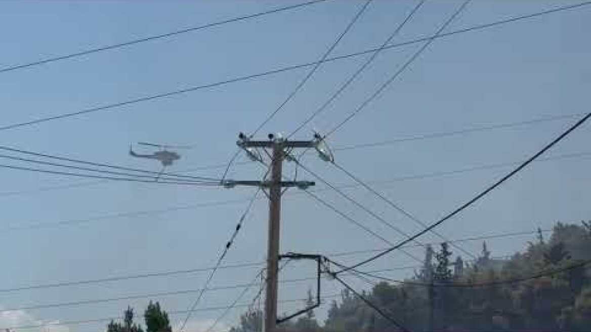 Φωτιά στη Πάτρα (1)