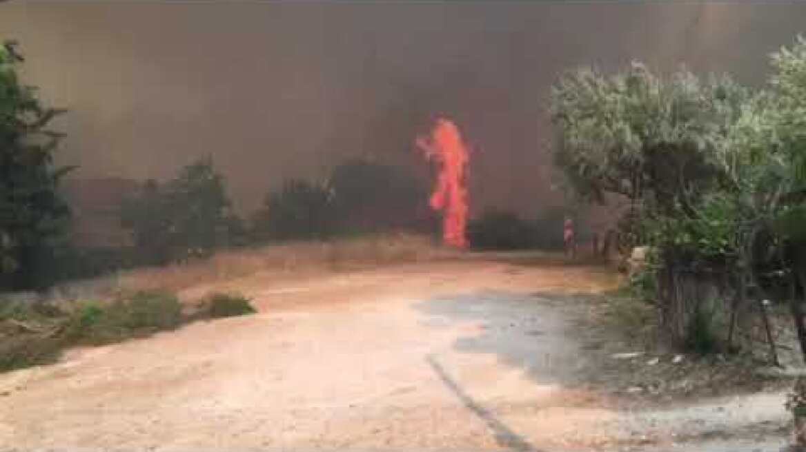 Τώρα νέα εστία στα πευκόφυτα Άγιος στέφανος