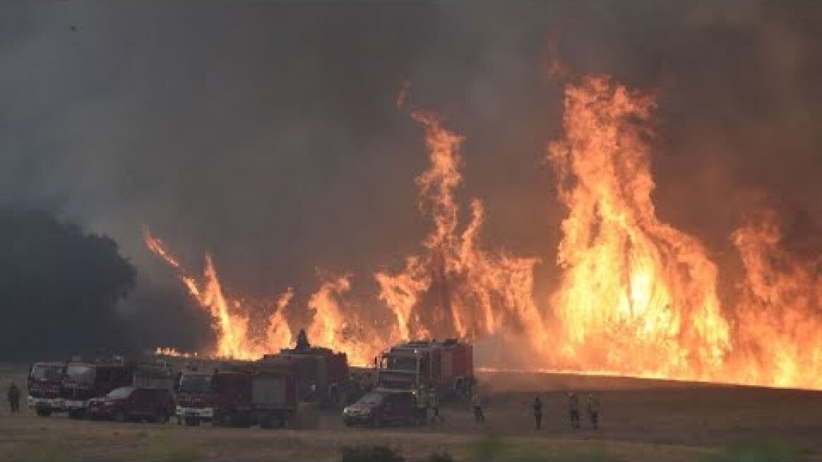 🔥 Evacuations today as forest fires hit across Spain 🇪🇸 June 16 2022 Catalonia Navarre Incendio