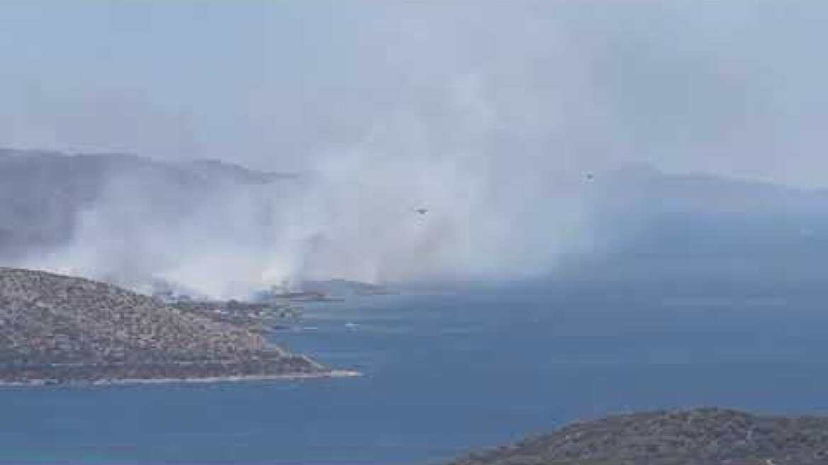 Φωτιά τώρα στην Παλαιά Φώκαια (2)