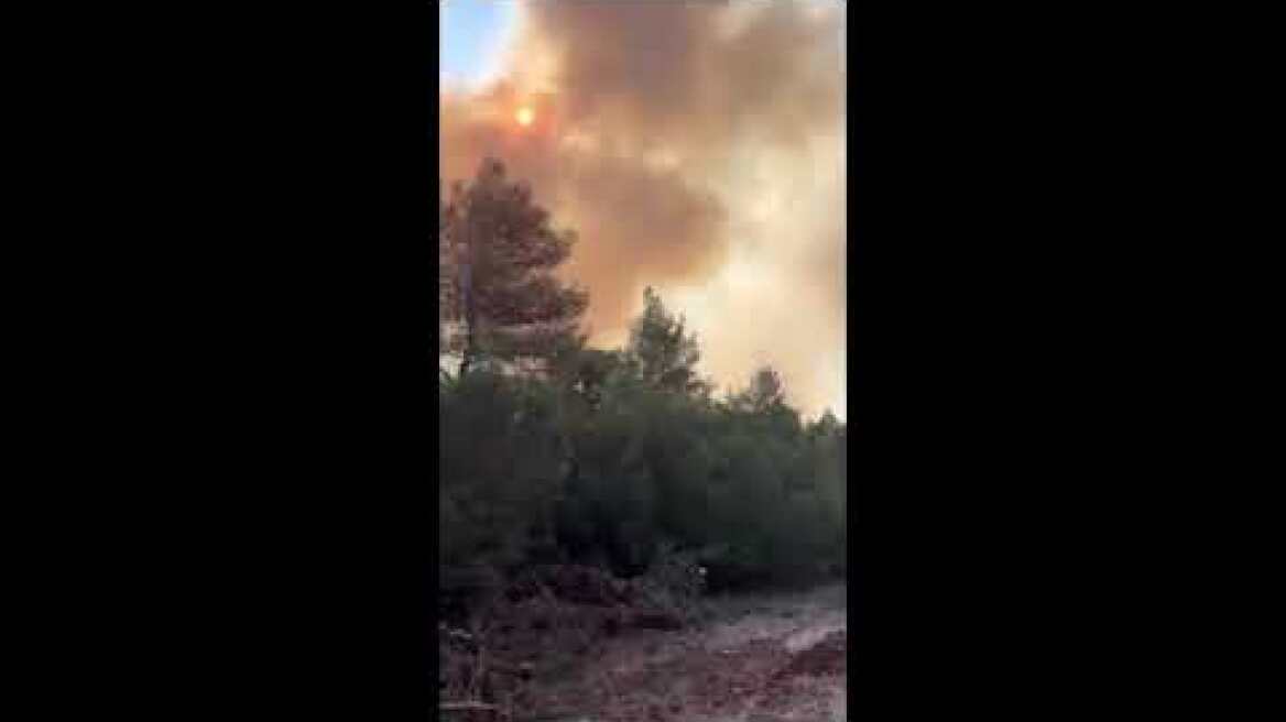 Η στιγμή που ο σύζυγος της Μαρίνας Ασλάνογλου προσπαθεί να σώσει τα άλογά τους απ' τη φωτιά