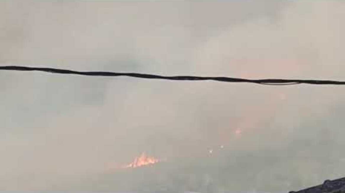 Φωτιά στην Ηλεία (3)