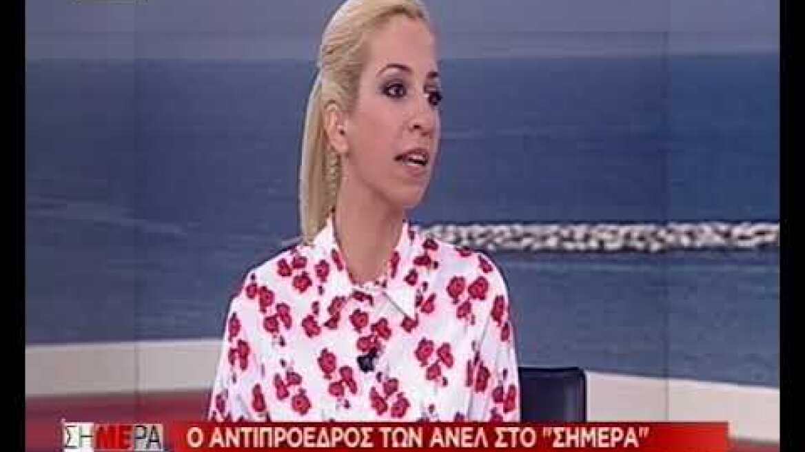 Σγουρίδης : Συζητήθηκαν οικονομικά ανταλλάγματα για το Σκοπιανό