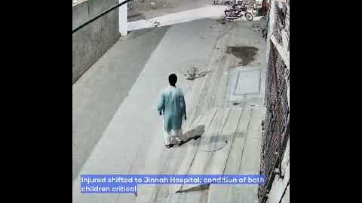 Pet lion mauls 3 in Lahore farmhouse, 2 children critically injured | Nukta