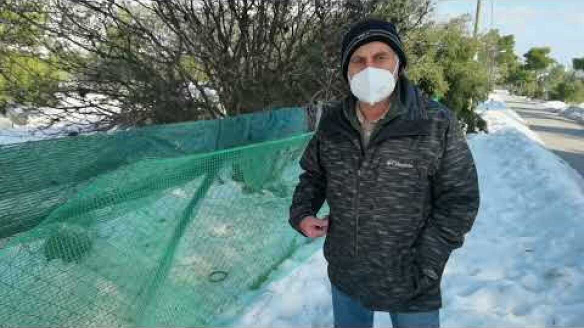 Λύκος Κηφισιά - Μαρτυρίες