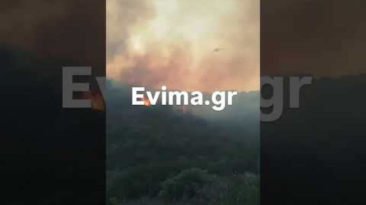 Μεγάλη φωτιά στους Τσακαιους Ευβοίας