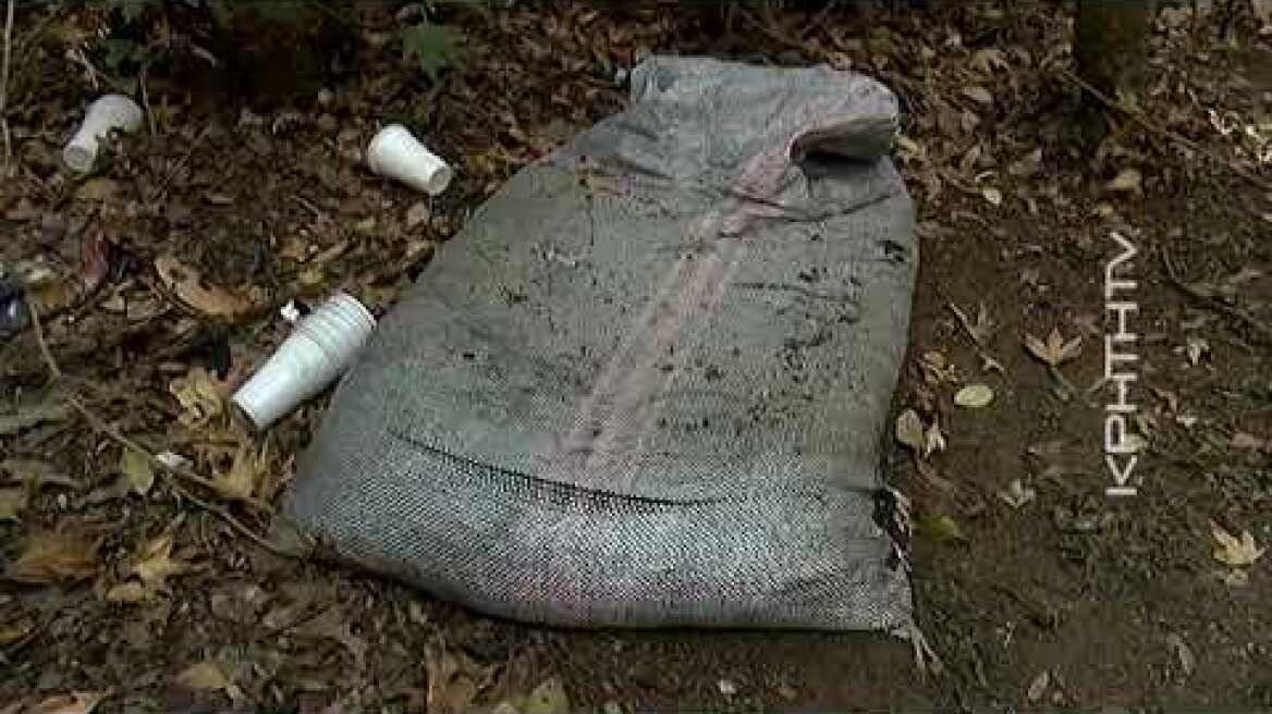 Ροδιά: Αποκλειστικές εικόνες από το δάσος με τα χασισόδεντρα