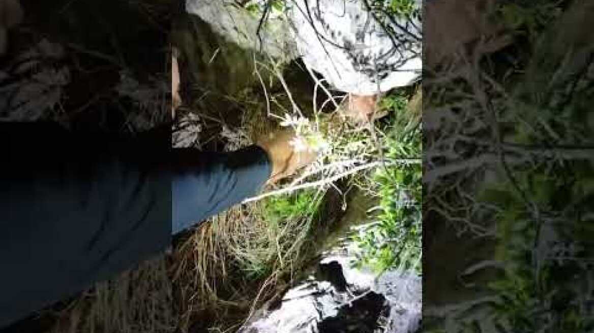 Εξάρθρωση εγκληματικής οργάνωσης που διακινούσε ναρκωτικά στην Καλαμάτα