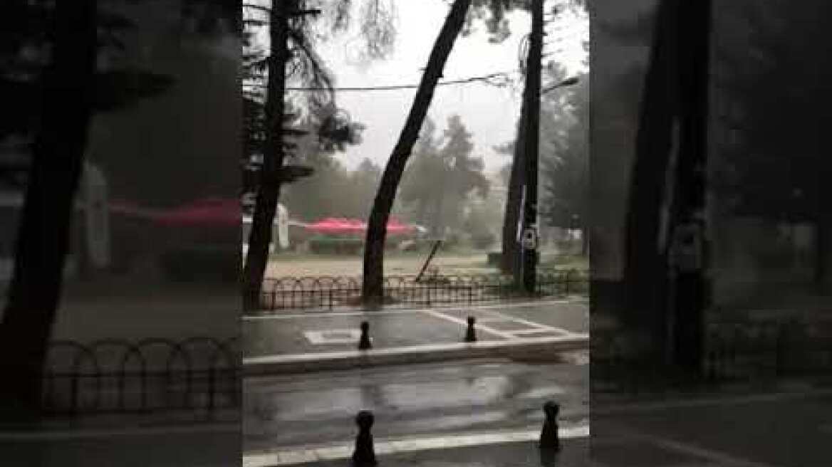 ΚΑΤΑΙΓΙΔΑ ΠΤΟΛΕΜΑΙΔΑ