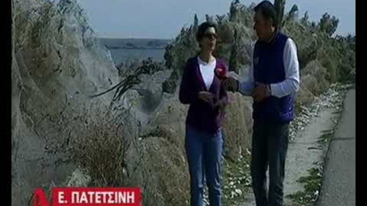 Λίμνη Βιστωνίδα: τεράστιο πέπλο αράχνης