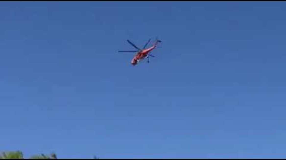 Νέα Μάκρη Φωτιά (3)