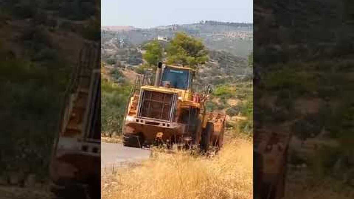 Φωτιά στην Εύβοια - Καίγεται το Κοντοδεσπότι