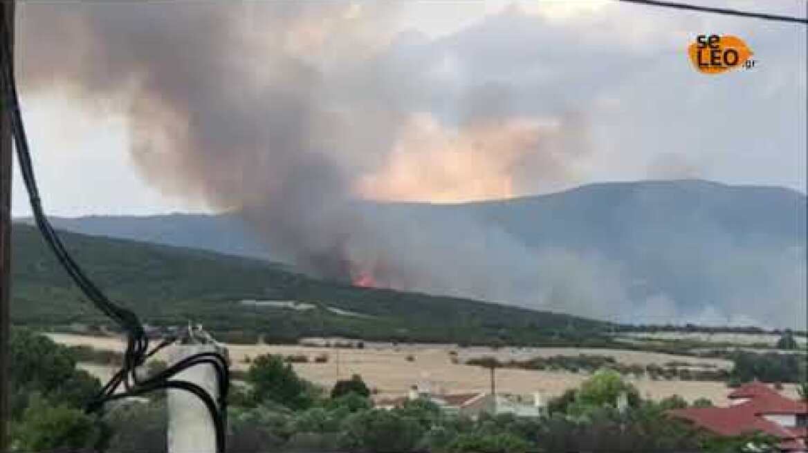 Φωτια Λακκια