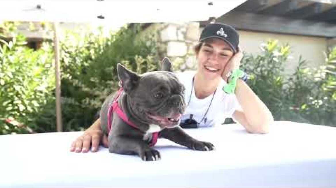 Navarino Challenge 2023 Highlights