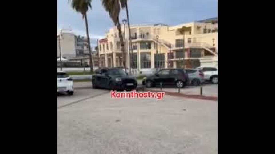 Αλεπού στο λιμάνι της Κορίνθου