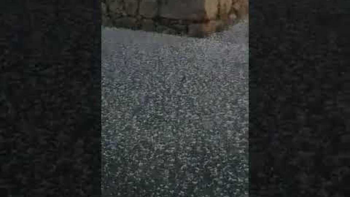 Χίος Χαλάζι 1