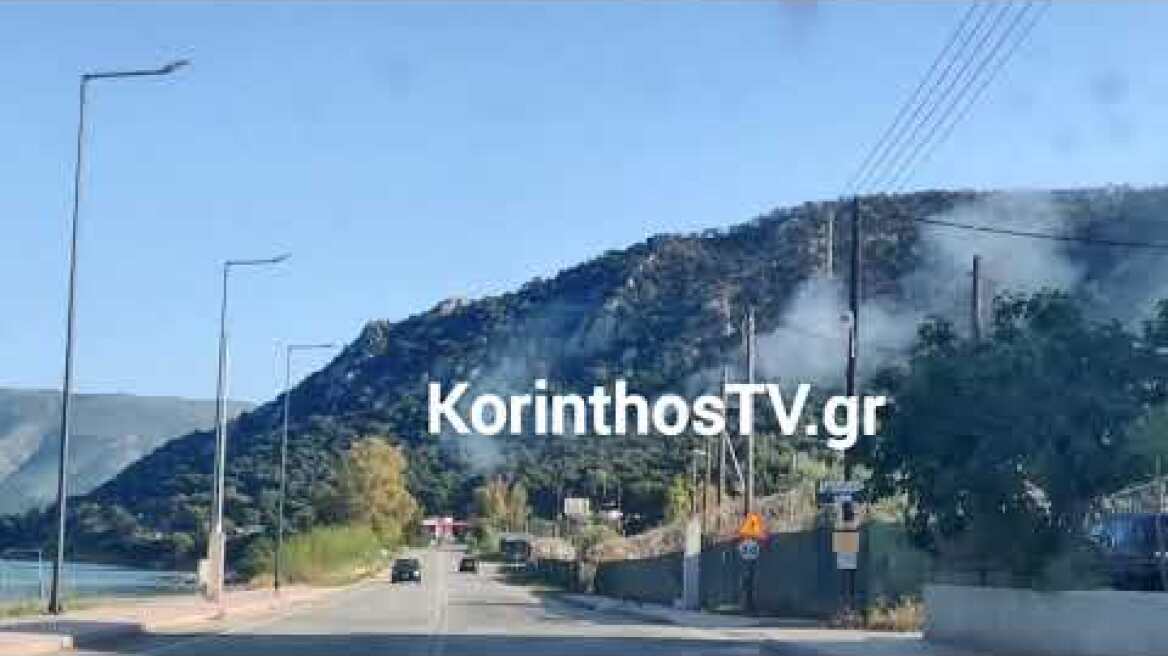 Πυρκαγιά σε δασική έκταση στις Κεχριές
