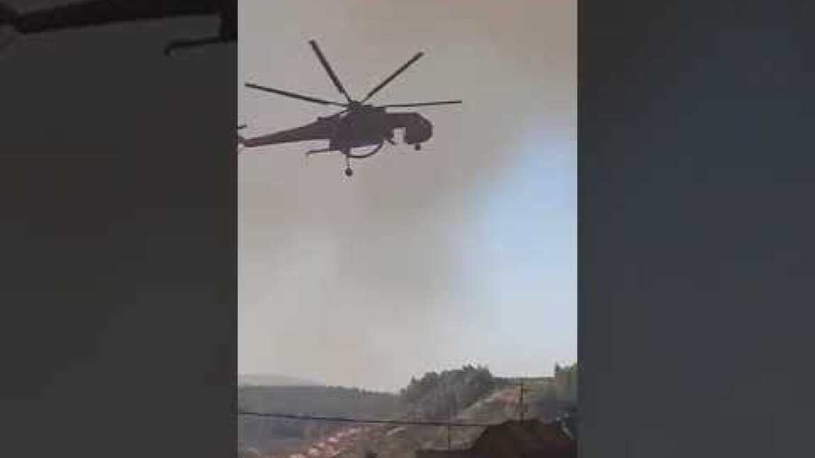 Βασιλικά Ιστιαίας