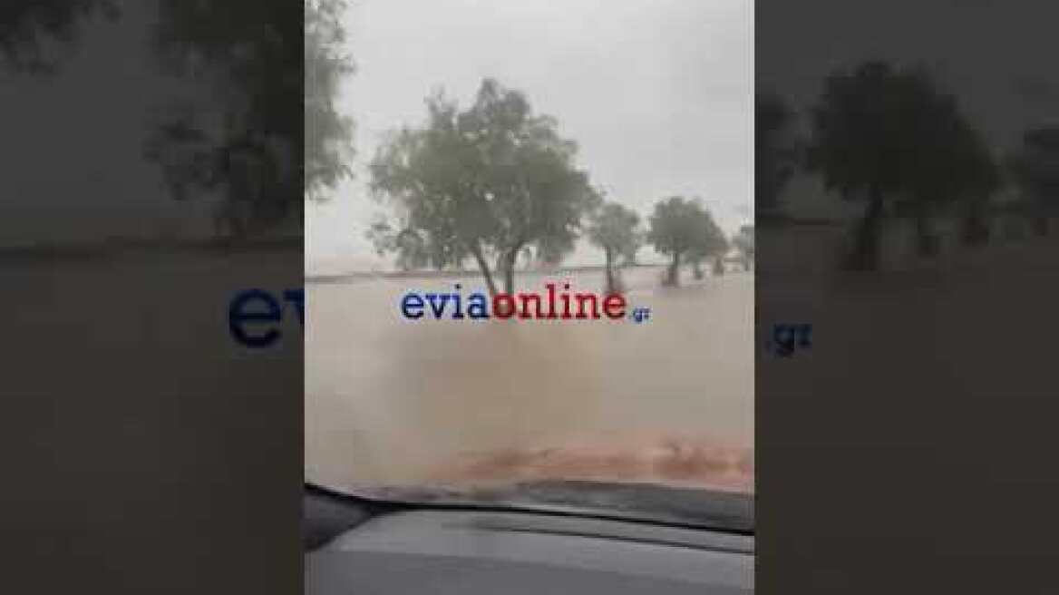 Κακοκαιρία Elias-Πλημμήρισε το Πευκί 1