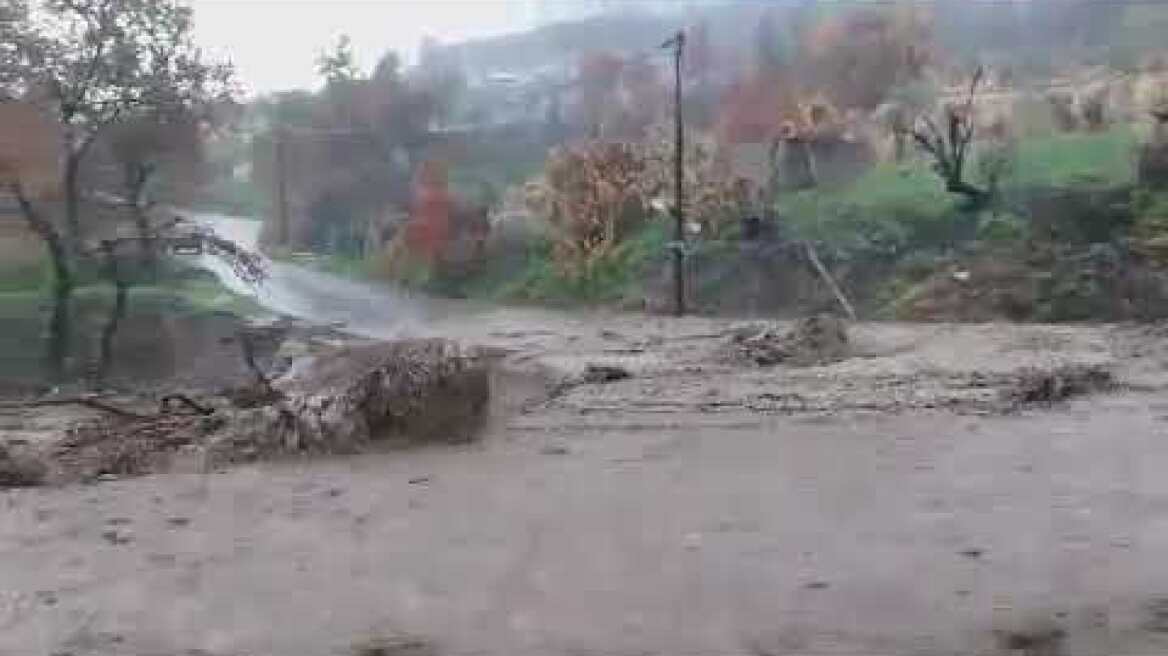 Βόρεια Εύβοια καταστροφές (4)