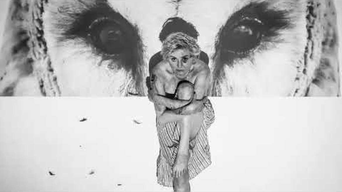 Η νύχτα της κουκουβάγιας | Γιώργου Διαλεγμένου | Elephas tiliensis