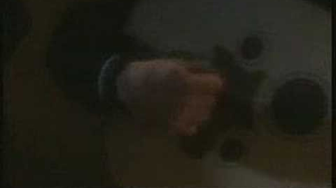 Ελευθερία Αρβανιτάκη - Τα κορμιά και τα μαχαίρια | Eleftheria Arvanitaki - Ta kormia kai ta maxairia