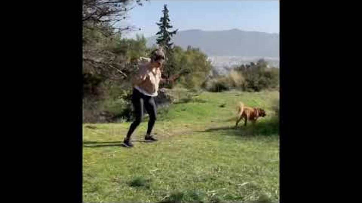 HIIT PARK FULL VIDEO