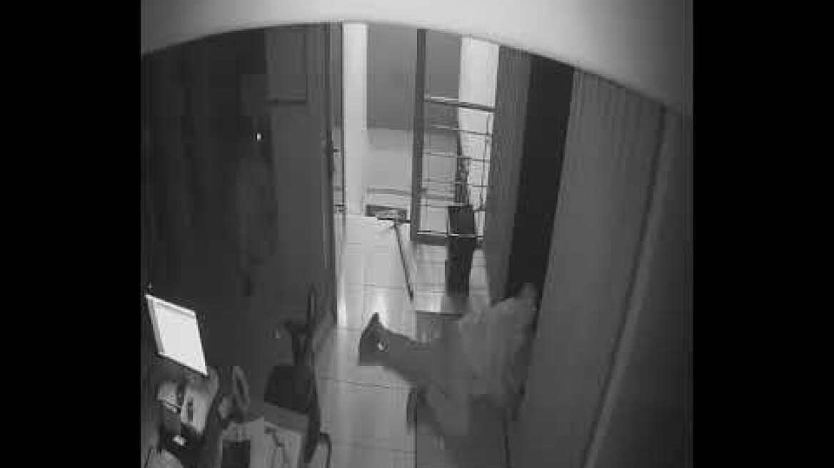 Διαρρήξεις σε σπίτια και επιχειρήσεις στην Βόρεια Ελλάδα (3)