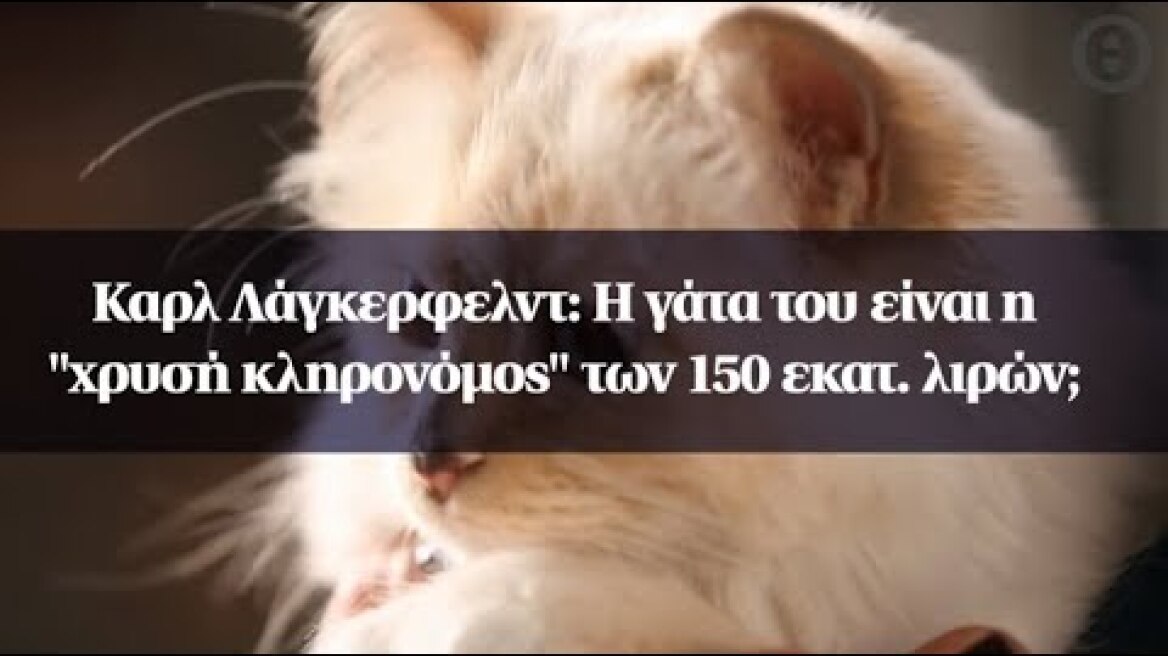 Καρλ Λάγκερφελντ: Η γάτα του είναι η "χρυσή κληρονόμος" των 150 εκατ. λιρών;