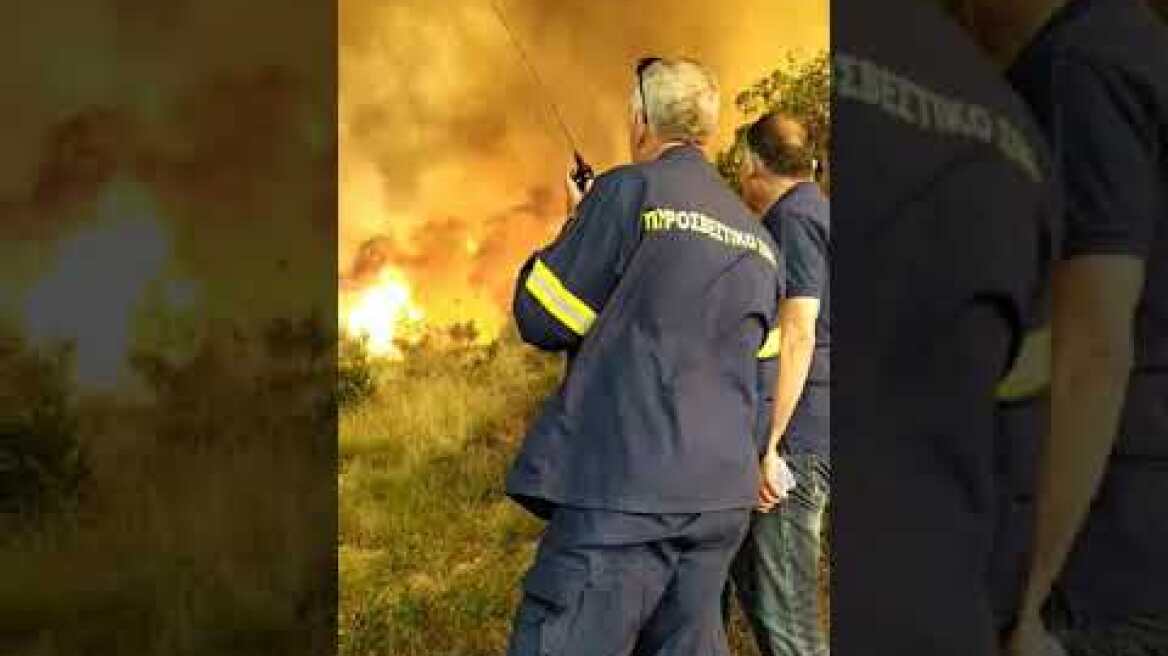 video 023ff3ec0dd9a0d2b0ffdc9d1adf48e5 V