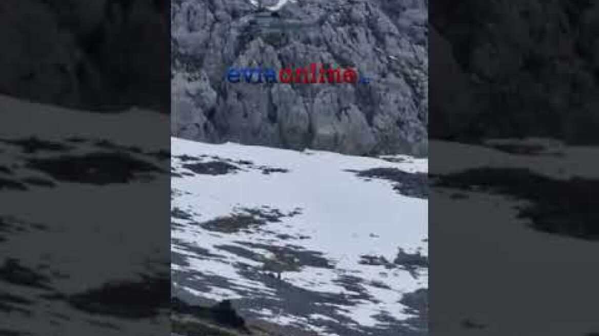 Επιχείρηση διάσωσης αναρριχητή στη Δίρφυ 1