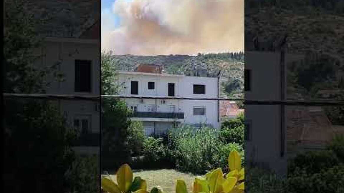 ΦΑΡΣΑΛΑ ΦΩΤΙΑ ΣΤΟ ΒΟΥΝΟ 01/08/26