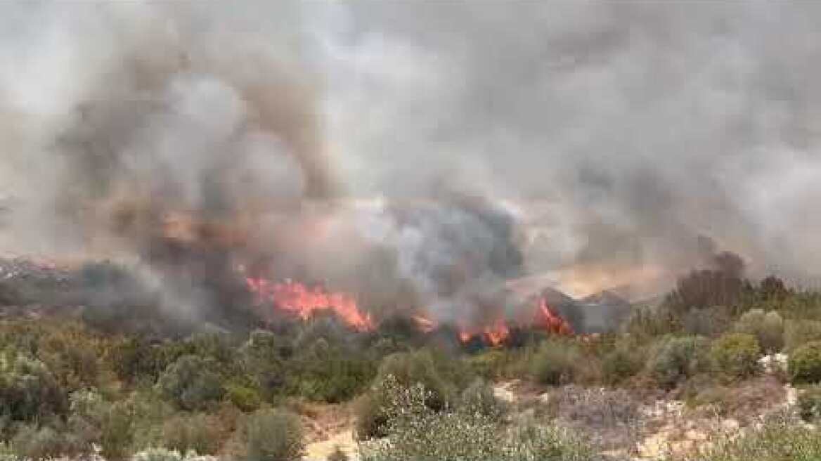 Καίγονται τα φυτώρια του Μαραθώνα (5)
