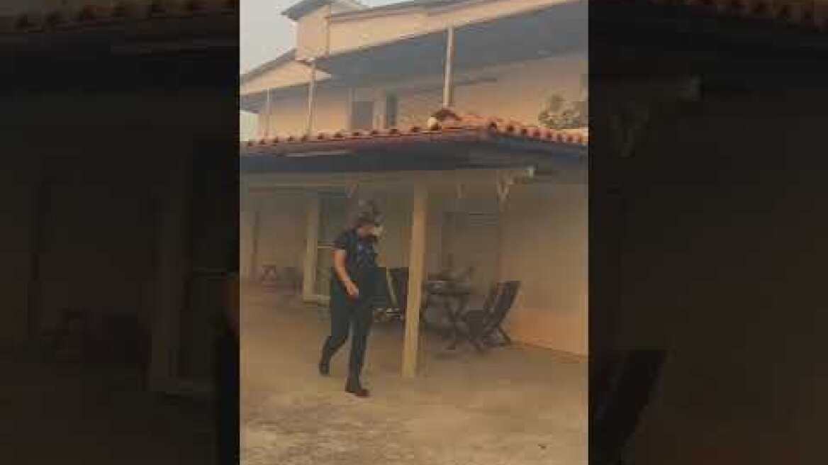 Φωτιά στην Ανατολική Αττική (2)